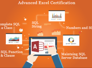Excel Certification, Preet Vihar, Delhi, SLA
