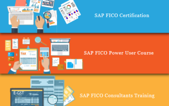 SAP FICO Certification in Laxmi Nagar, Delhi, SLA