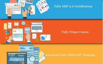 Tally Certification Course in Delhi, Mehrauli, SLA