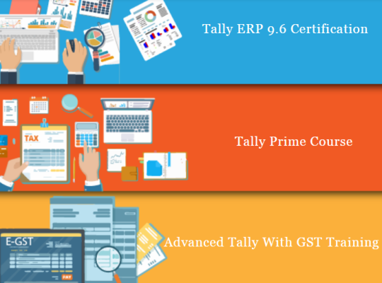 Tally Certification Course in Delhi, Mehrauli, SLA